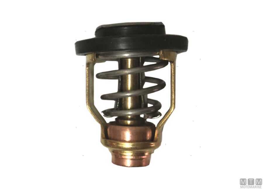 Termostato per Motori Yamaha-img4864928.jpg