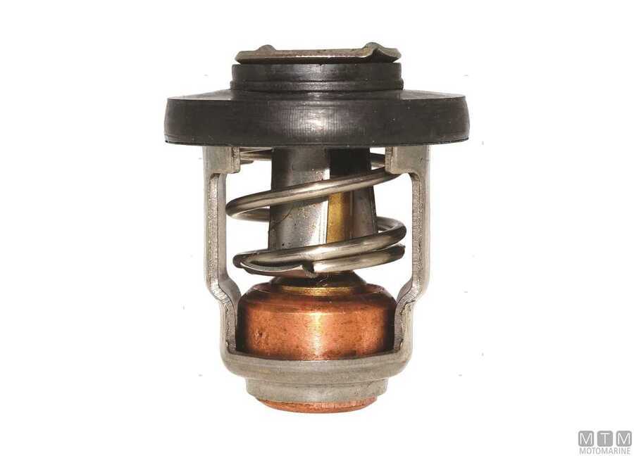 Thermostats for Mercury Engines-img4862044_.jpg