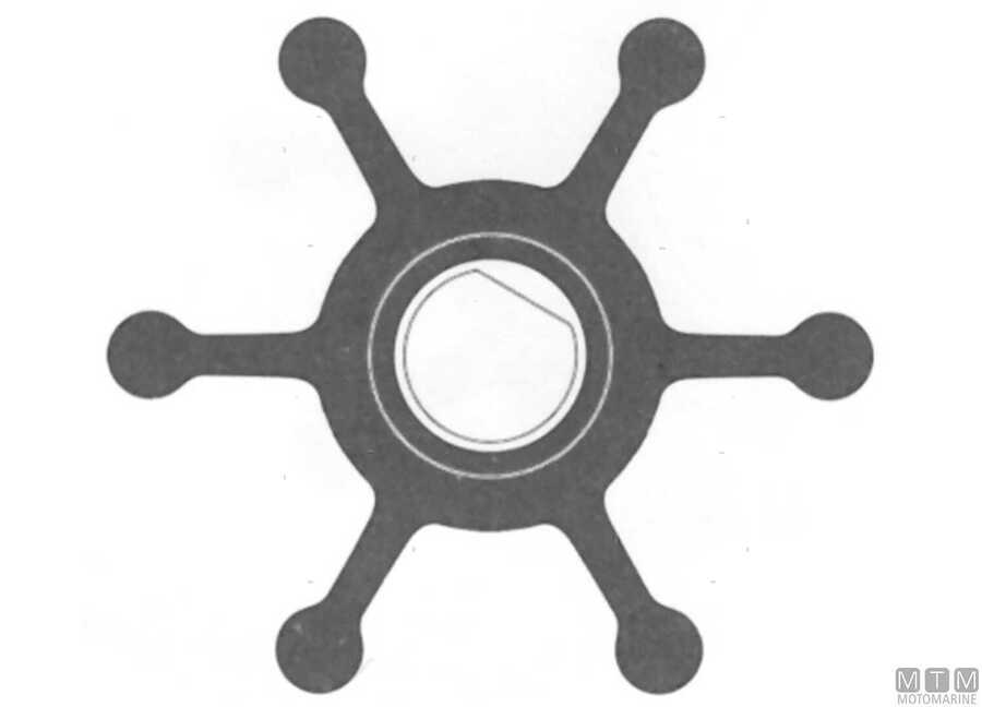 Giranti SPX Johnson D35-50 mm-img1816136.jpg