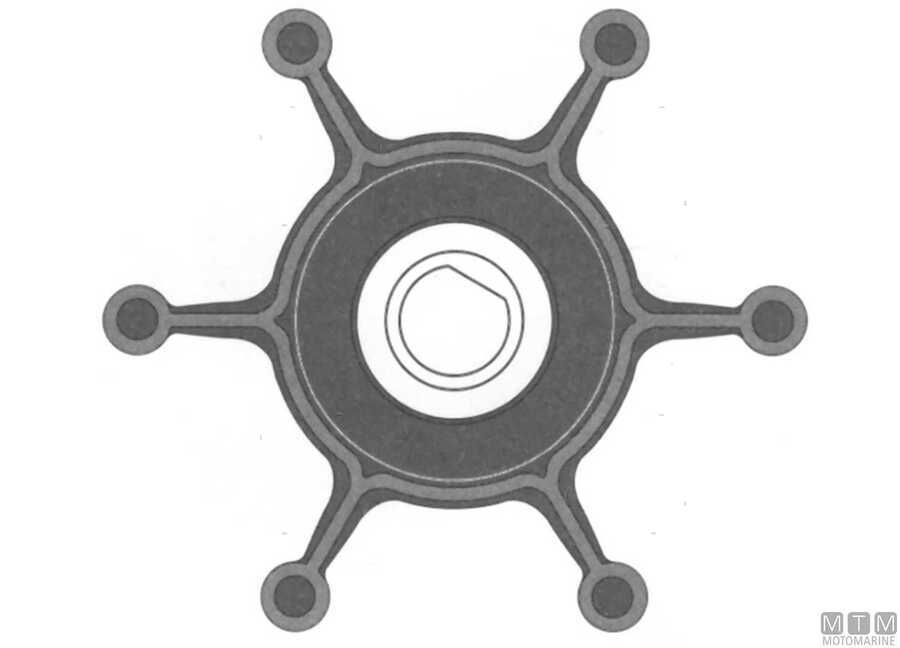 Giranti SPX Johnson D35-50 mm-img1816136_13.jpg