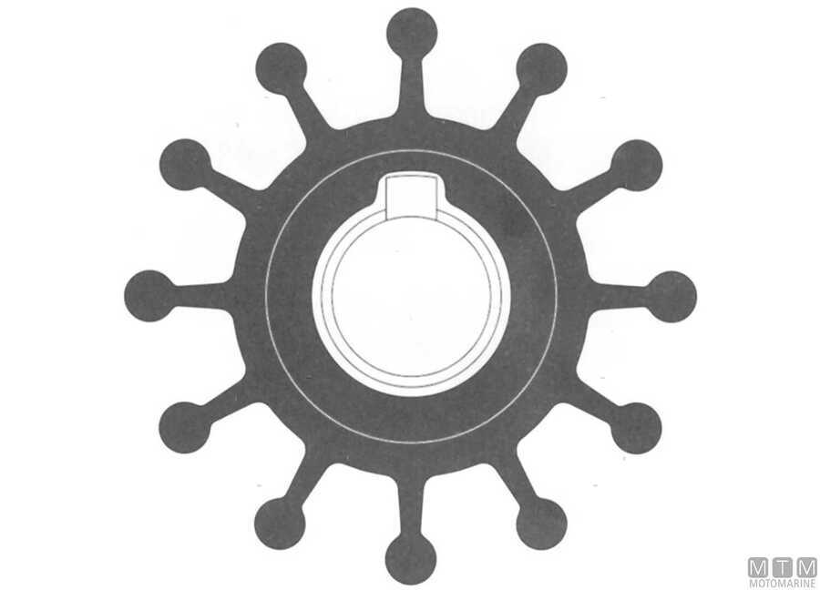 Giranti SPX Johnson D50-57 mm-img1816026_8.jpg