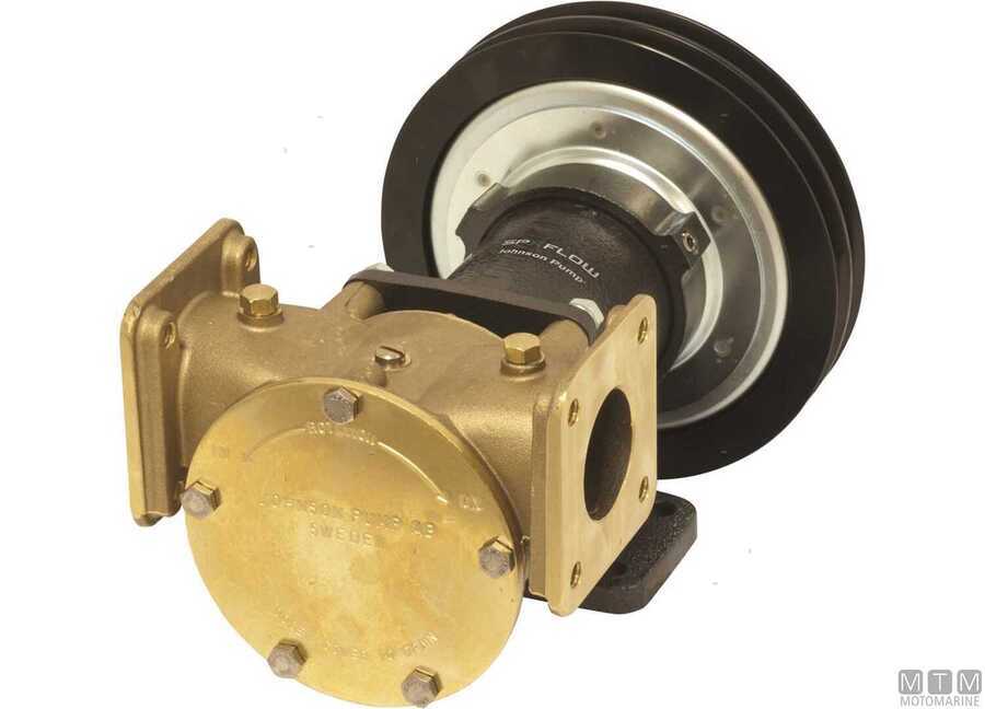 Pompa con Frizione Magnetica SPX Johnson F8B-5000 VF-img1828253.jpg