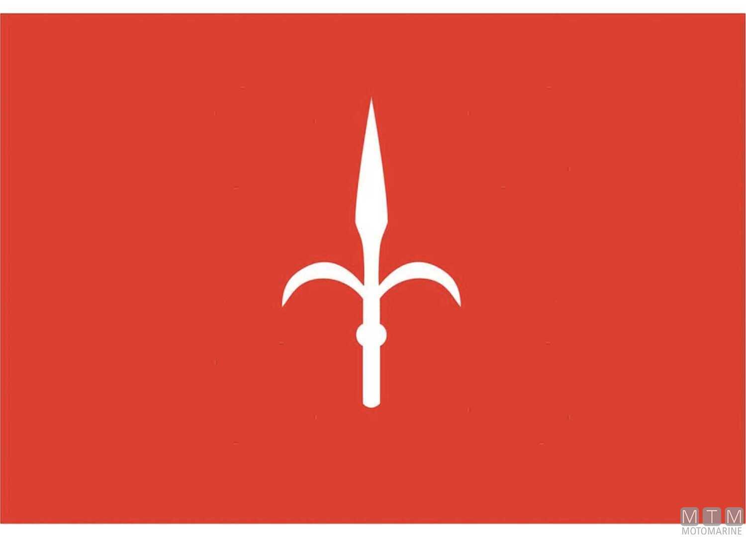 Image Flag Trieste 100x150cm