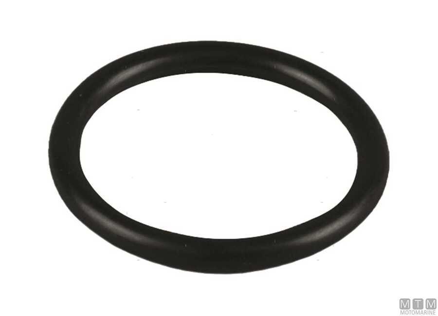 O-Ring EPDM-img5354021.jpg