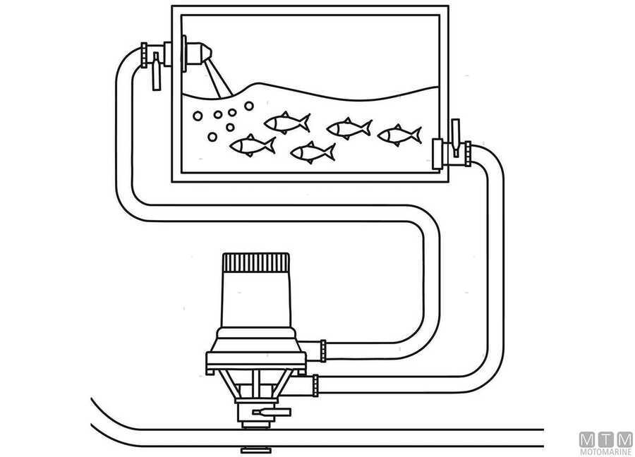 Seaflo Dual Port Pump For Livewell Tanks-img1821685_1.jpg