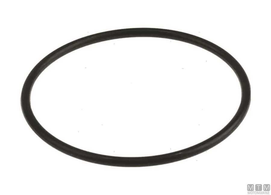 O-Ring Radiatore Olio per Motori Suzuki-img4864038.jpg