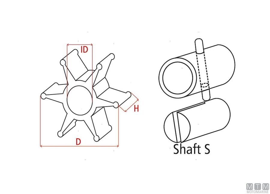 Giranti Johnson SPX tipo-S-img1816025_2.jpg