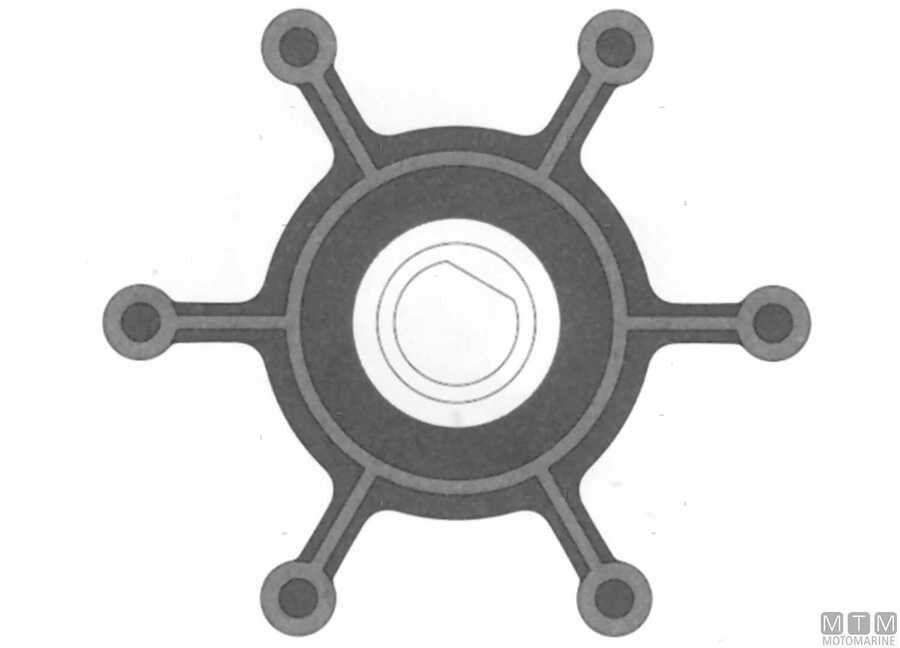 Giranti Johnson SPX tipo-F-img1816136.jpg