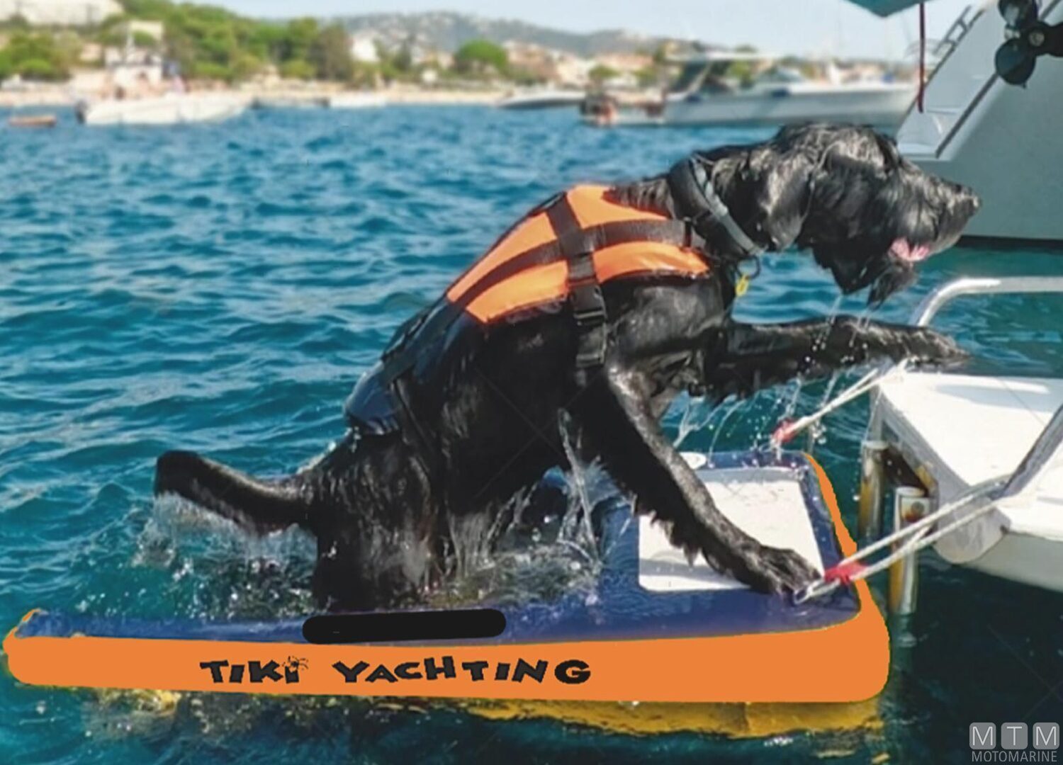 Scaletta Gonfiabile per Cani Tiki Yachting 122x82cm-img3020348_3.jpg