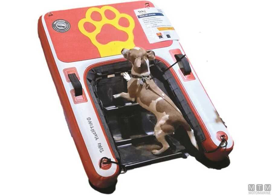 Scaletta Gonfiabile per Cani-img3020348_1.jpg